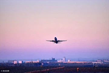 ڈیلٹا نے پرواز کی افراتفری کا اعتراف کیا، افرادی قوت 95 فیصد پری وبا میں واپس
